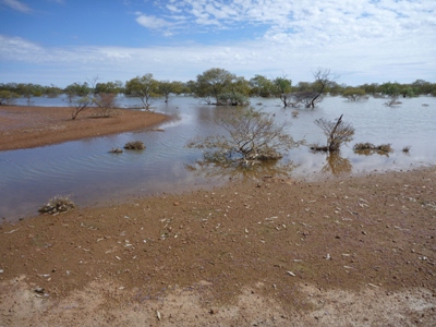Lake Cohen in 2011