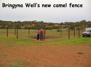 Bringyna Well's new camel fence