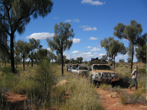 convoy in oaks
