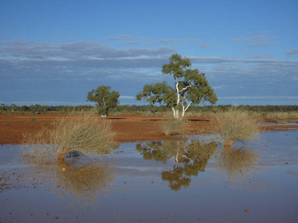 water on Mungilli