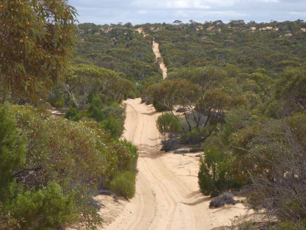 Goog's Track