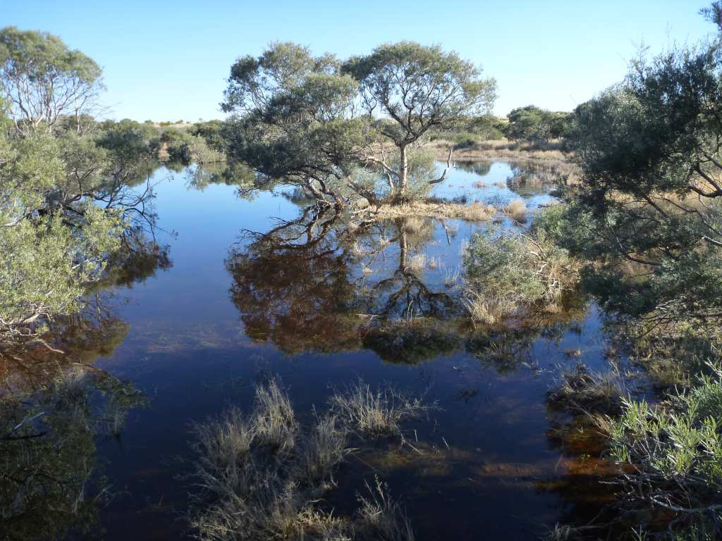 Watery Midway Well June 2018