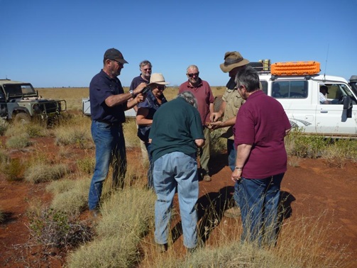 Photographing a Thorny Devil