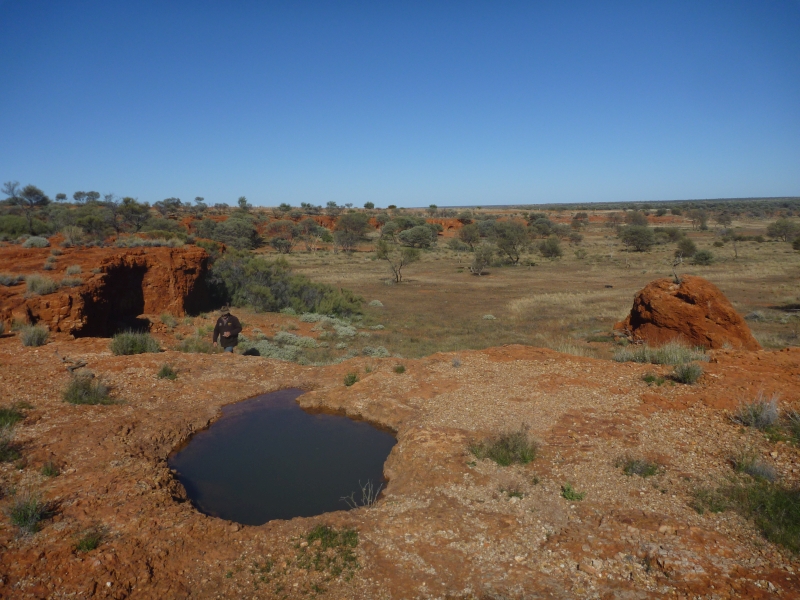 Ngaanyatjarra rockhole 2024