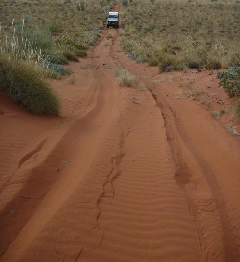 Climbing a sandhill