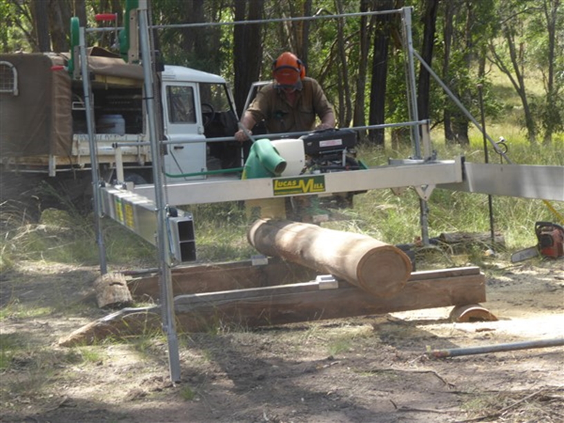 PG shed posts