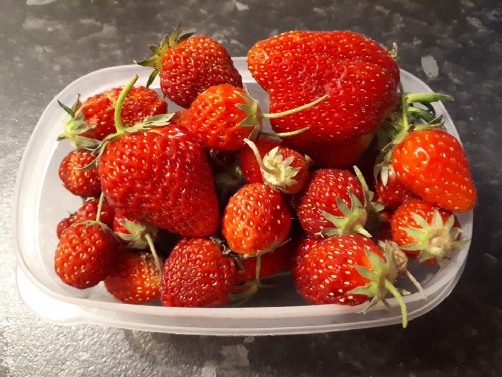 Strawberries, home grown