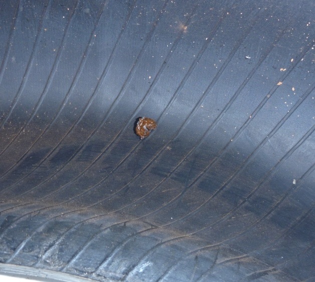 Inside a plugged tyre