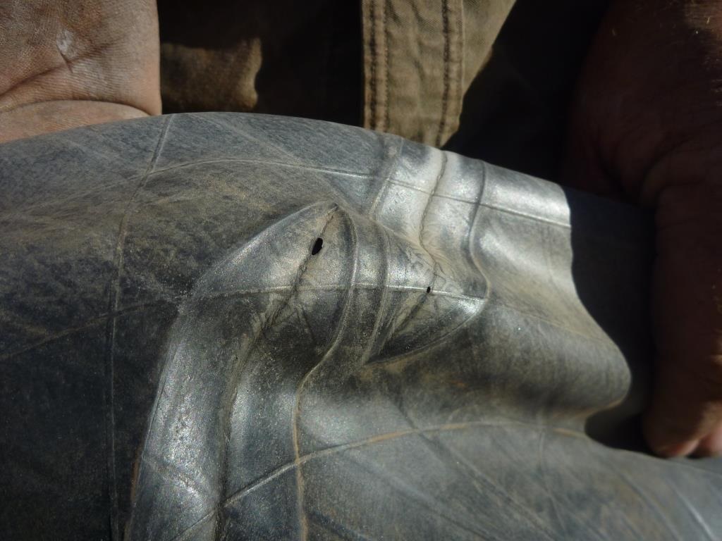 Tube holes from folded tube